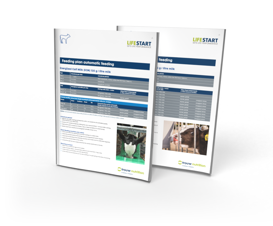 lifestart feeding