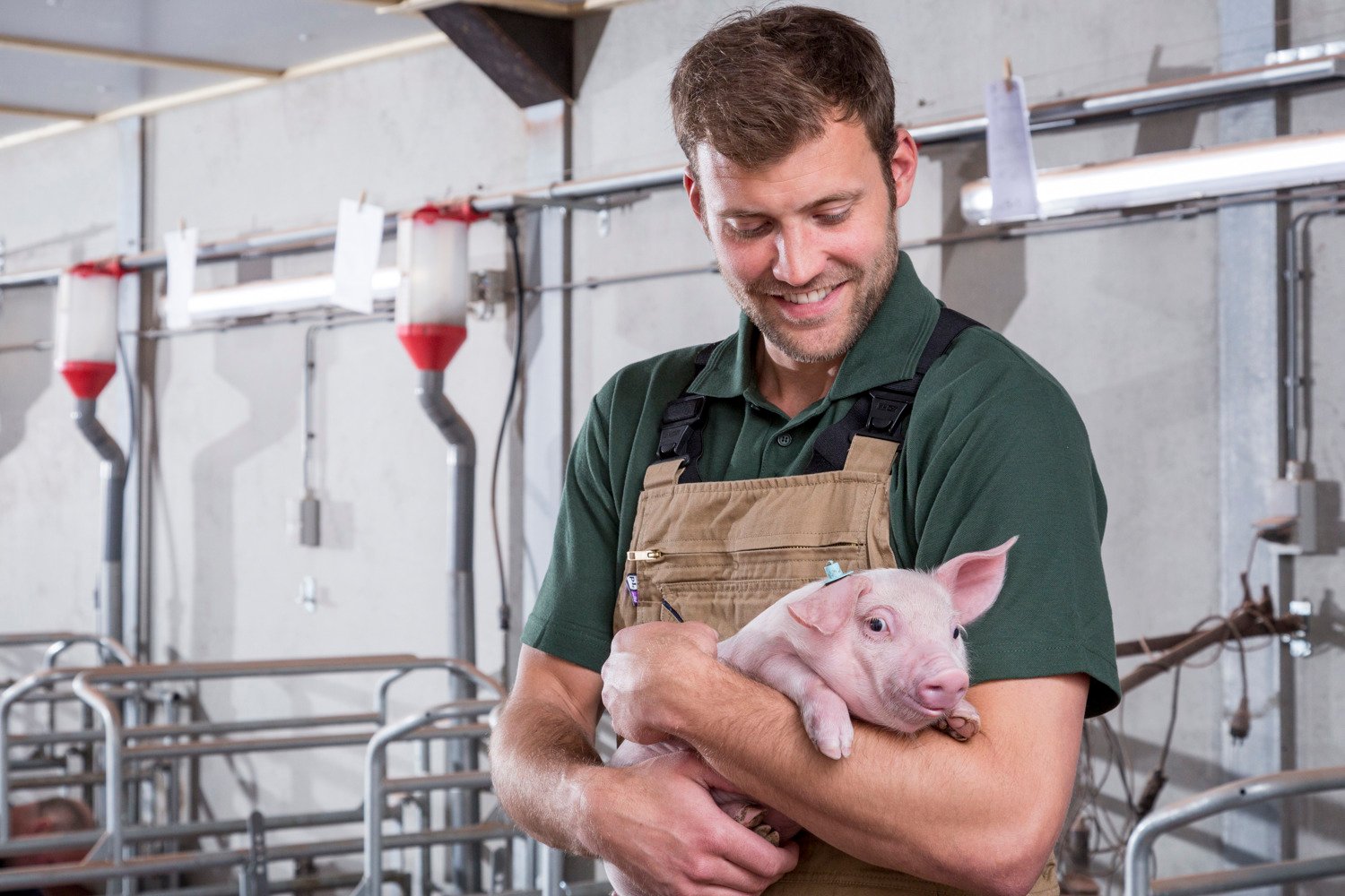 NutriOpt is a suite of integrated digital solutions