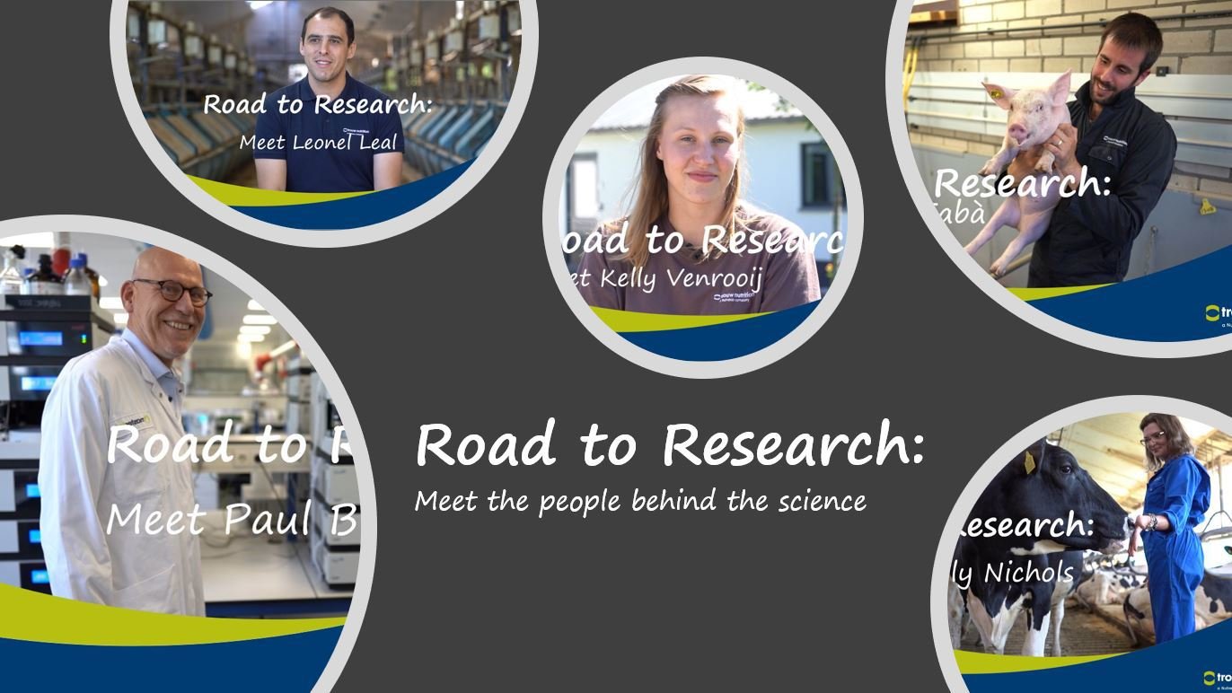 road to research