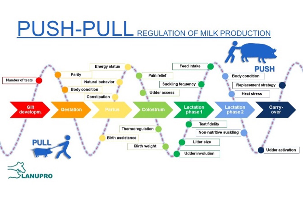push pull method for milk production   