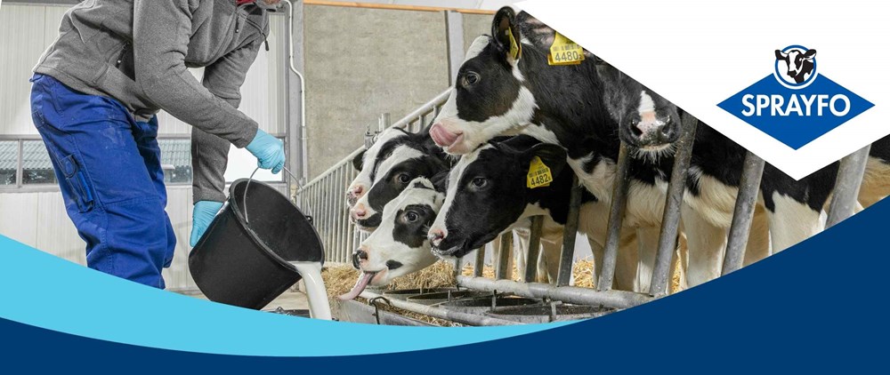 Sprayfo calf rearing solutions, for the best LifeStart